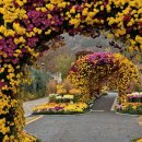 영암기찬랜드 이미지