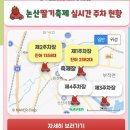 프로제이짐 | 2026 논산딸기축제 다녀온 딸축 프로참석러의 오픈런 방문후기