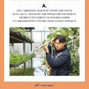 클로버 태양광발전소 이미지