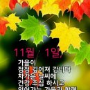 11월.1일.월요일 간추린 뉴스 이미지