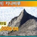 개미여행사