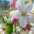 루니농장 이미지