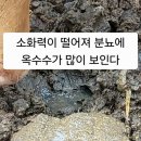 부강 한우 농장 네이버블로그
