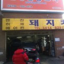 돼지카센타 이미지