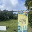 몬스터렌터카 | 여행ㅣ괌 10박 11일ㅣ리티디안 프라이빗 비치ㅣ스노우 몬스터ㅣ투몬 무는 물고기ㅣK마트ㅣ후지이찌방라멘