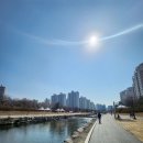 탄천 죽전삼거리 이미지