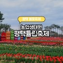 선인장연구회 | 평택 농업생태원 튤립축제 아이랑 가볼만한곳