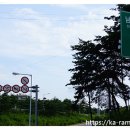 산골포도원