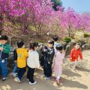 퐁피두창의스쿨어린이집 이미지