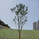 처인고등학교 이미지