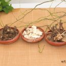 맛있는전시회 이미지