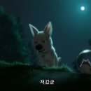 슈퍼독 이미지