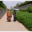 사직로 이미지