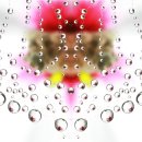 데칼코마니 이미지