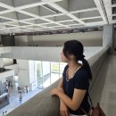 시립미술관 | 타이베이 시립 미술관 후기(24.8월) | 근처 이벤트 정보