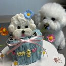 댕수무강 이미지