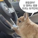 뚜벅이의 강원도 백담사 템플스테이 후기