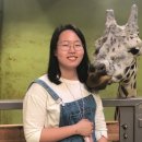 강남메디컬동물병원 이미지