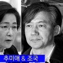 조국과 얼굴 두께 경쟁하는 추미애 딸 프랑스 비자 청탁 이미지