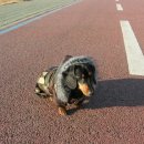 룰루랄라 이미지