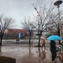 제주스커피홈플러스