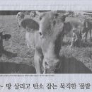 민중농장 이미지