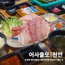 어사출또 | 두정동방어맛집 어사출또 대방어 후기