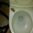 신일병원 화장실 이미지