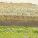 왕지농장 이미지