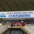 용인대스포츠클럽 이미지