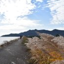 예당버스정류장 이미지