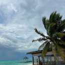 더 봄and에그토스트 | 몰디브 리조트 타지 엑조티카 - 식사 후기(조식/중식/석식)