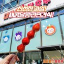 대단한탕후루군산대점 | 군산대점 대단한 탕후루에서 맛있는 탕후루를 먹었어요~^^ #군산대탕후루 #군산대디저트 #군산대...