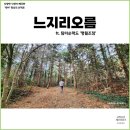 만조봉수터 | 제주도 서쪽 쉬운 오름 &#39;만조봉수터&#39; 느지리오름(망오름) 산책로 소요시간