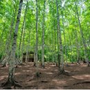 인제IC펜션 이미지