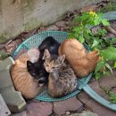 가족이야기 이미지