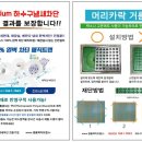슈올즈아산
