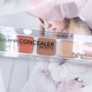 올라운드뷰티(Allround-beauty) | 이가격 실화? 랄라블라 롭스 컨실러추천 캐트리스 올라운드 컨실러 만능 컨투어링