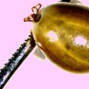 전라남도보건환경연구원 이미지