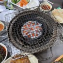 부산 용호동 섭자리 덕성호 내돈내산 후기(조개구이, 장어구이, 매운탕)