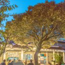 하도리 사무소 이미지