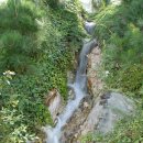 안산 식물원 이미지