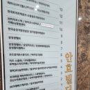 광교마사지 프리미엄 락타이 마사지 뭉친 근육 잘 푸는 마사지 샵