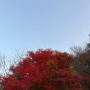 노들식당 이미지