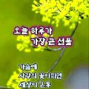 봄의기운 이미지