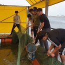 항구낚시터 이미지