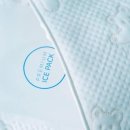 부산 강아지분양 디테일퍼피 이미지