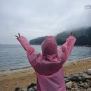 섬마을민박 | [여수 안도 여행] 안도 해수욕장 백금포 캠핑후기 - 금오도 남면 농협하나로마트 방문