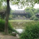 심원 이미지