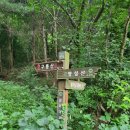 대청호오백리길 대청로하스길 이미지